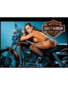 Harley Davidson Alternate Translite 4 (NSFW)