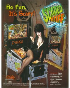 Scared Stiff Flyer