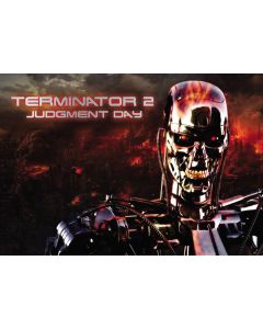 Terminator 2 Alternate Translite