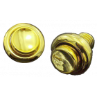 Flipper Button Gold