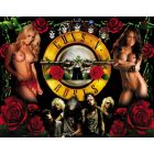 Guns N' Roses Alternate Translite 4 (NSFW)