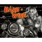 Barb Wire Alternate Translite (NSFW)