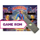Embryon CPU Game Rom Set