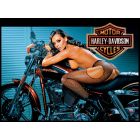 Harley Davidson Alternate Translite 4 (NSFW)