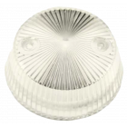 Mushroom Pop Bumper Cap Clear