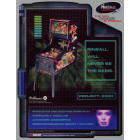 Pinball 2000 System Flyer