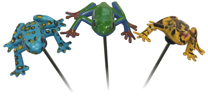 Scared Stiff Frog Assembly