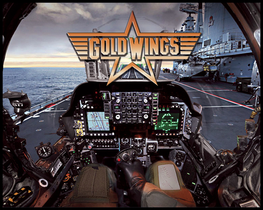 Gold Wing Alternate Translite - Image 1
