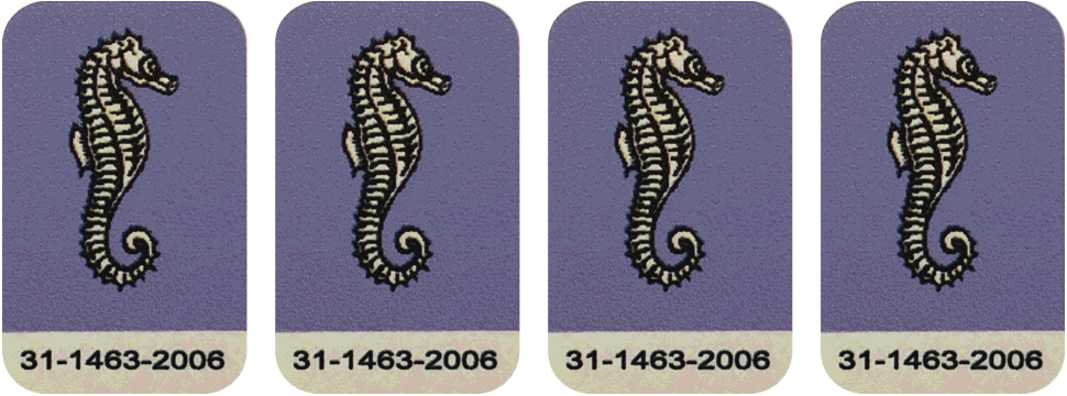 Atlantis Sea Horse Target Decal Set